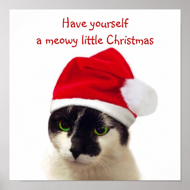 Cat with Santa's Hat Poster (Front)