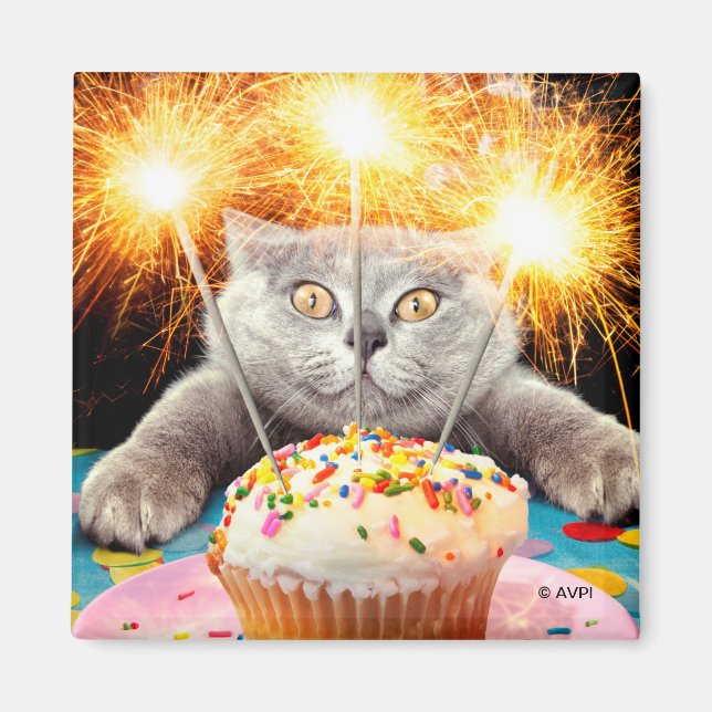 Cat With Sparkler Cupcake Magnet (Front)