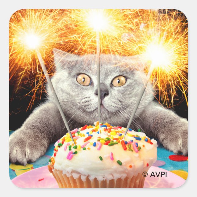 Cat With Sparkler Cupcake Square Sticker (Front)