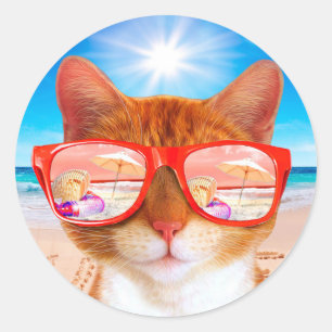 Cat with sunglasses on the beach classic round sticker