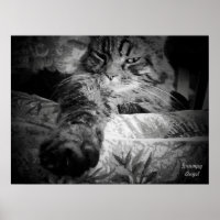Cat with the Middle Claw