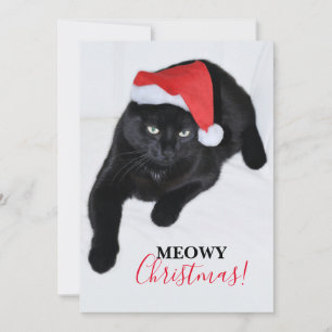 Cat with the Red Santa Hat Holiday Card