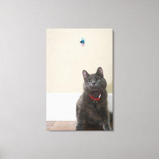 Cat with toy canvas print