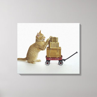 Cat with wagon and boxes canvas print