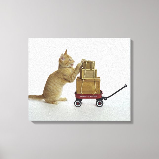 Cat with wagon and boxes canvas print (Front)