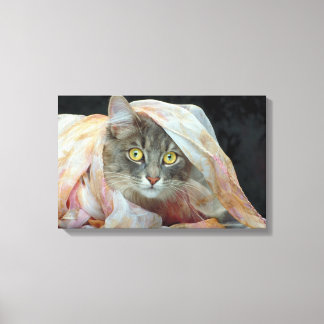 Cat wrapped in cloth canvas print
