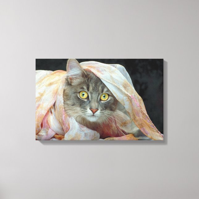 Cat wrapped in cloth canvas print (Front)