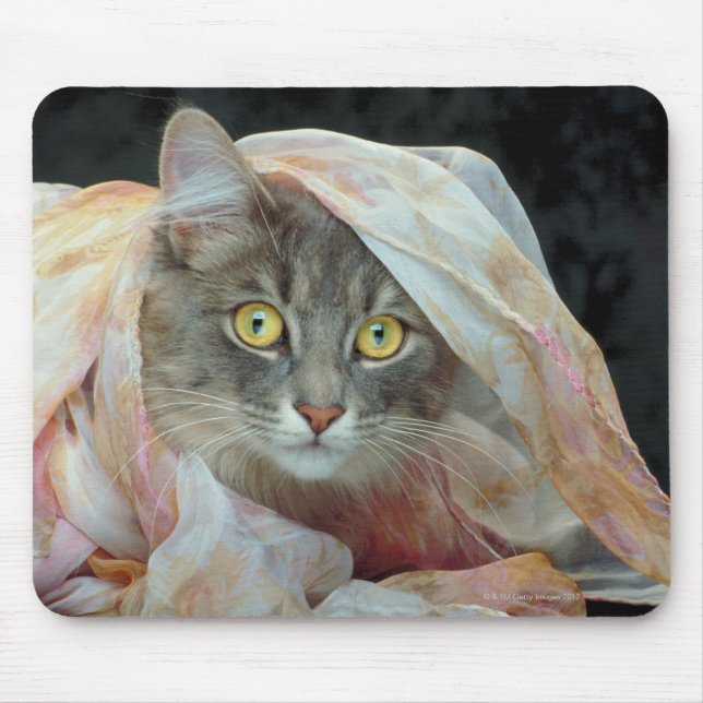 Cat wrapped in cloth mouse pad (Front)