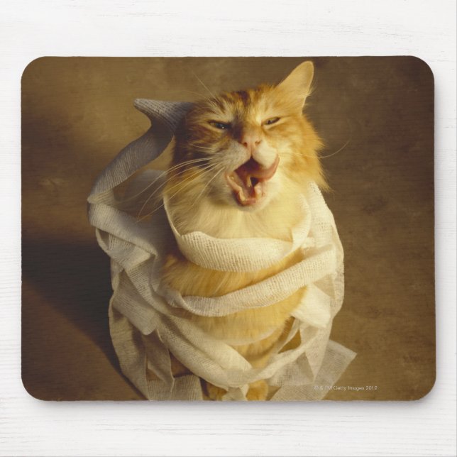 Cat wrapped in medical gauze mouse pad (Front)