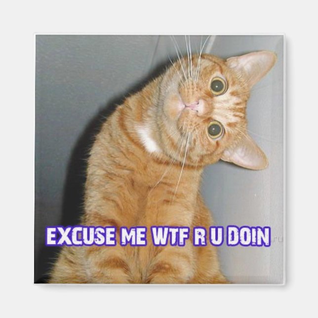 cat wtf magnet (Front)