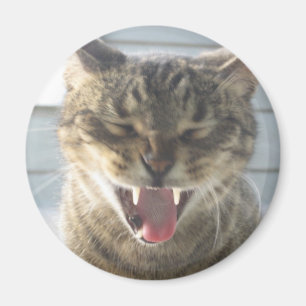 Cat Yawn Magnet