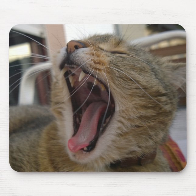 Cat yawn mouse pad (Front)