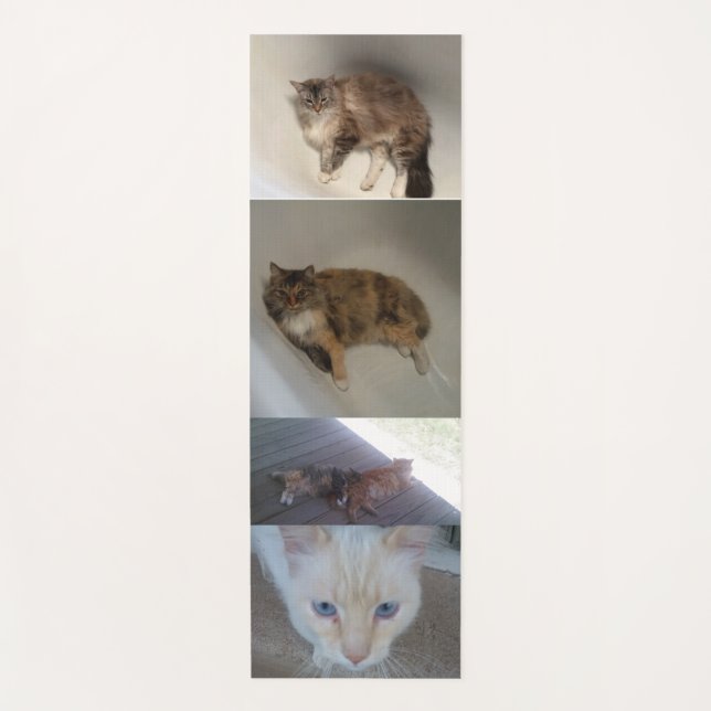 Cat  yoga mat (Front)