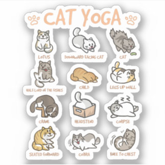 Cat Yoga Poses Cats Practicing Mindfulness Meditat