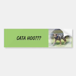 CATA HOO??? BUMPER STICKER