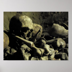 catacomb bones poster