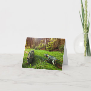Catahoula and Wild Hog Greeting Card