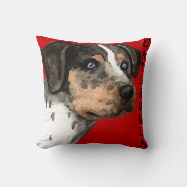 Catahoula Colour Block Cushion (Front)