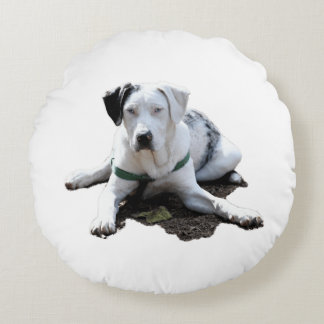Catahoula Cur Laying Down Round Cushion