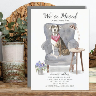 Catahoula Leopard Dog   Moving Announcement