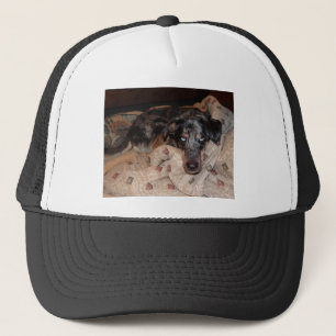 Catahoula Leopard Dog Snoozing Trucker Hat