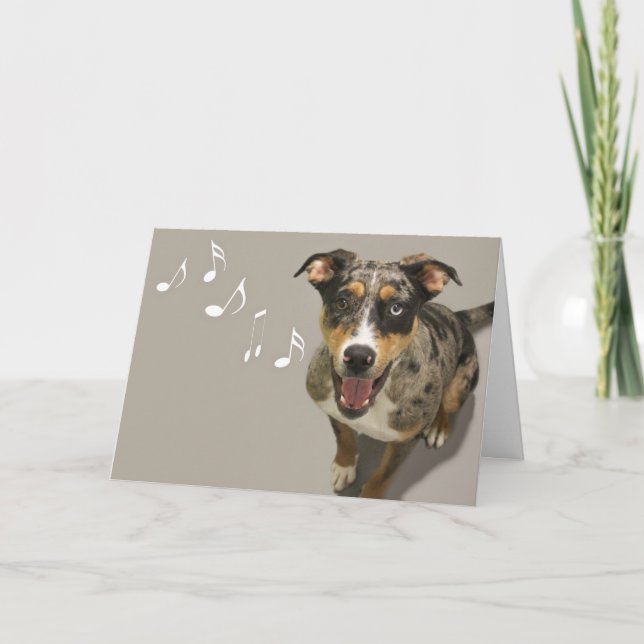 Catahoula Singing Card by Focus for a Cause (Front)