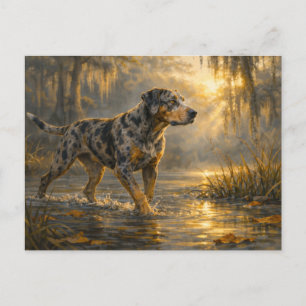 Catahoula Sunrise Hunting Dog Art Postcard