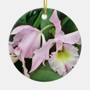 Catalaya orchid flowers ceramic tree decoration