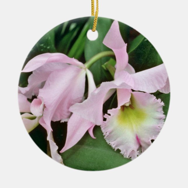 Catalaya orchid  flowers ceramic tree decoration (Front)
