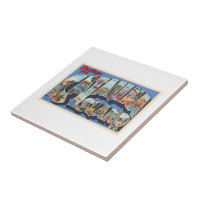 Catalina Island California Large Letter Postcard