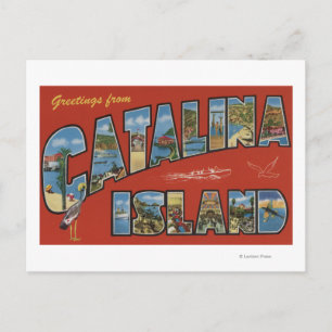 Catalina Island, California - Large Letter Scene Postcard