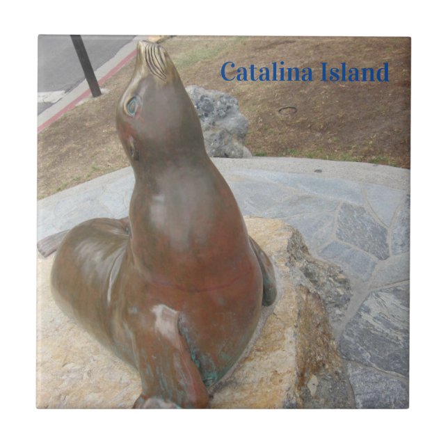 CATALINA ISLAND CERAMIC TILE THE BEN (Front)