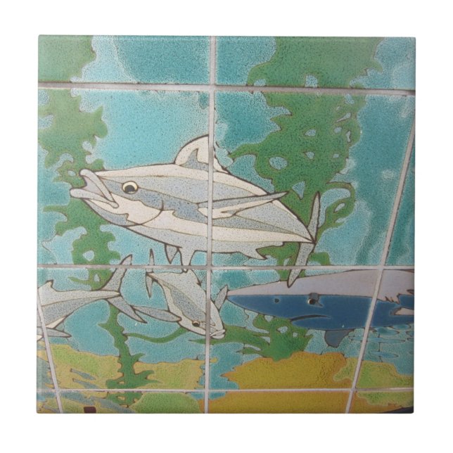 CATALINA ISLAND CERAMIC TILE THE NEIGHBORHOOD (Front)