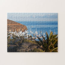 Catalina Island Harbour