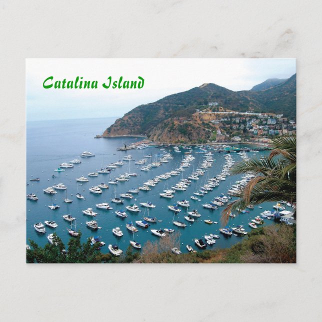 Catalina Island Postcard (Front)