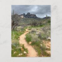 Catalina Mountains Trail