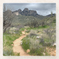 Catalina State Park Tucson Trails