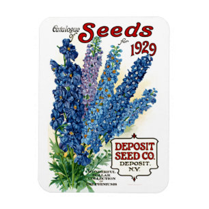 Catalogue of Seeds for 1929 Vintage Floral Magnet