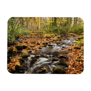 Cataloochee Creek NC Great Smoky Mountains Magnet