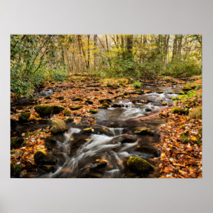 Cataloochee Creek NC Great Smoky Mountains Poster