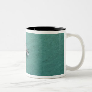 Catamaran, Mamanuca Islands, Fiji, South Pacific Two-Tone Coffee Mug
