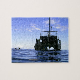 Catamaran Puzzle