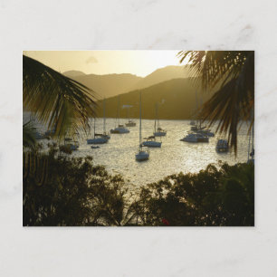 Catamarans and sailboats postcard