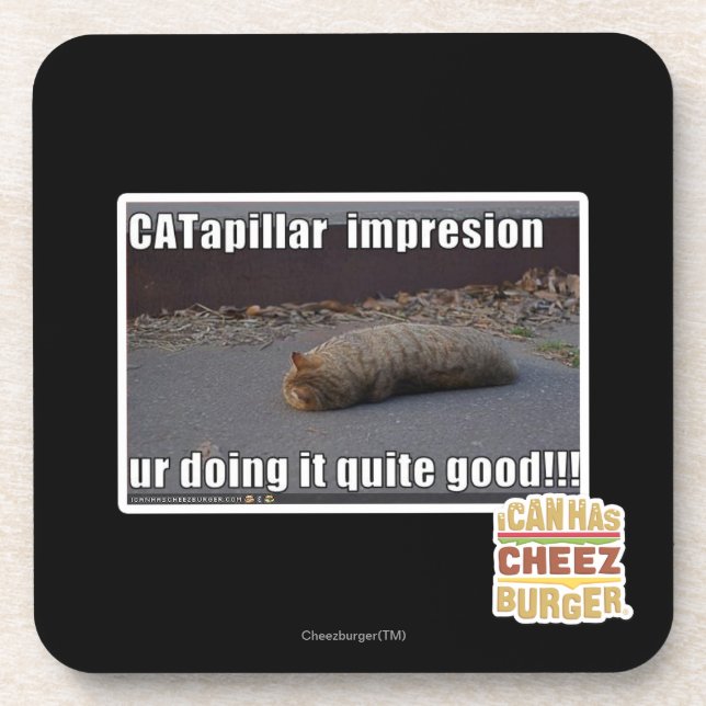 CATapillar Coaster (Front)
