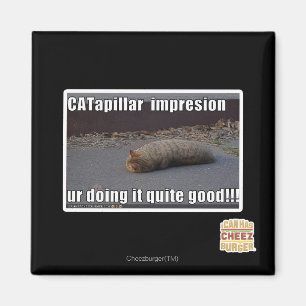 CATapillar Magnet