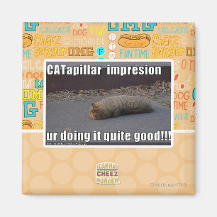 CATapillar Magnet