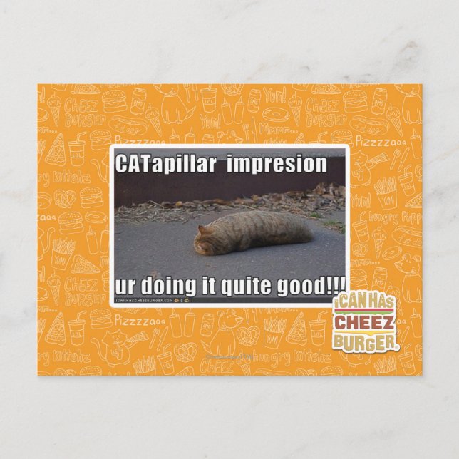 CATapillar Postcard (Front)