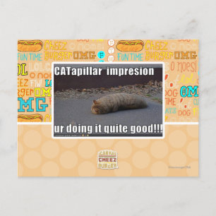 CATapillar Postcard