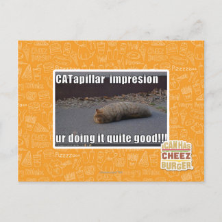 CATapillar Postcard