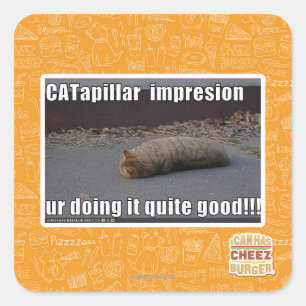 CATapillar Square Sticker